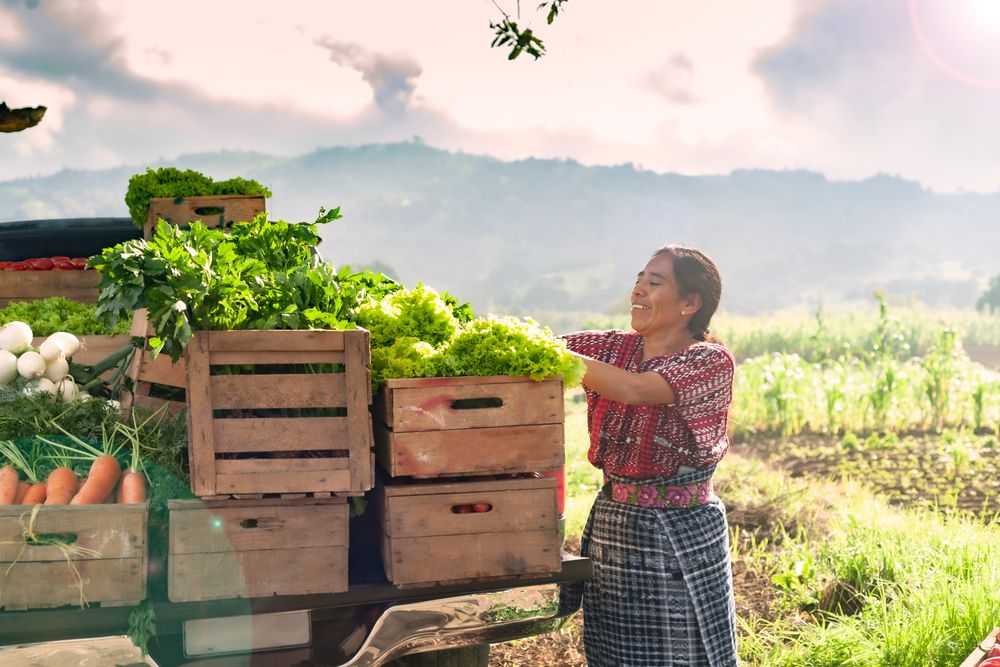 mujer rural.jpg